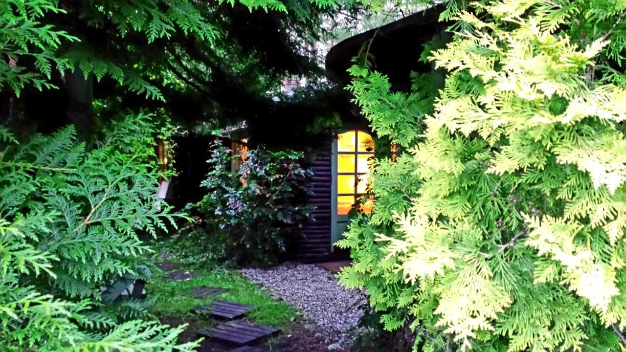 Domek Letniskowy Na Kaszubach Lub Apartament Z Kominkiem Пуцьк Екстер'єр фото
